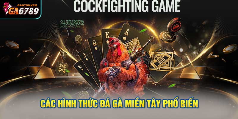 Các Hình Thức Đá Gà Miền Tây Phổ Biến