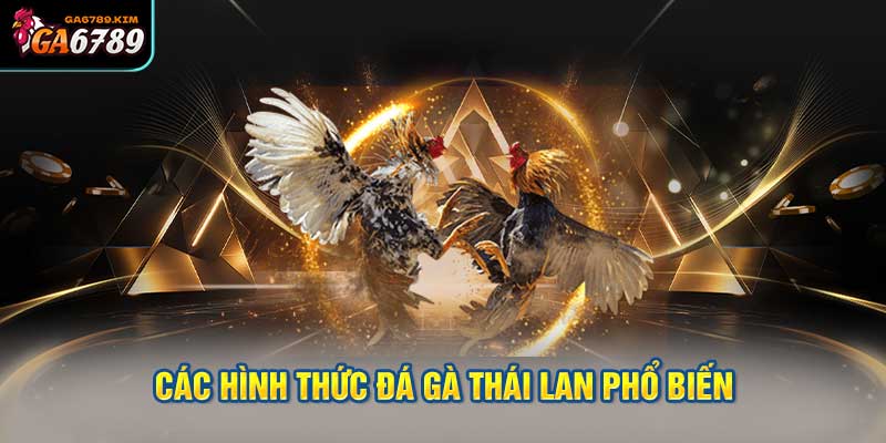 Các hình thức đá gà Thái Lan phổ biến hiện nay