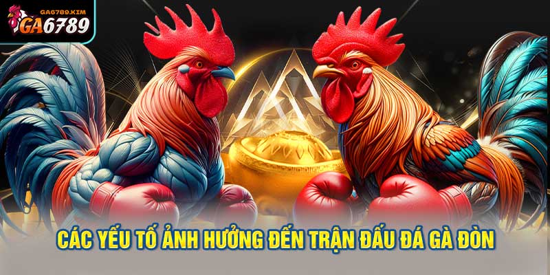 Các Yếu Tố Ảnh Hưởng Đến Trận Đấu Đá Gà Đòn