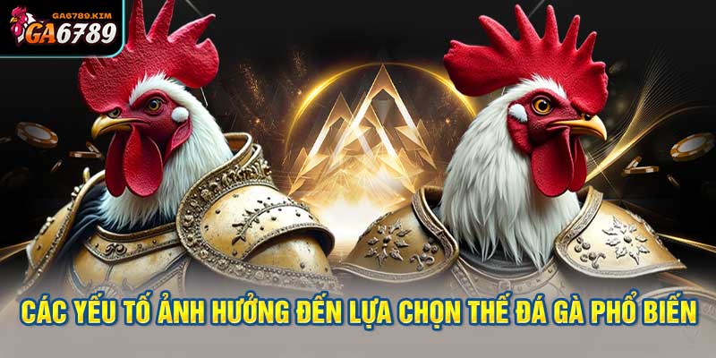 Các yếu tố ảnh hưởng đến lựa chọn thế đá gà phổ biến