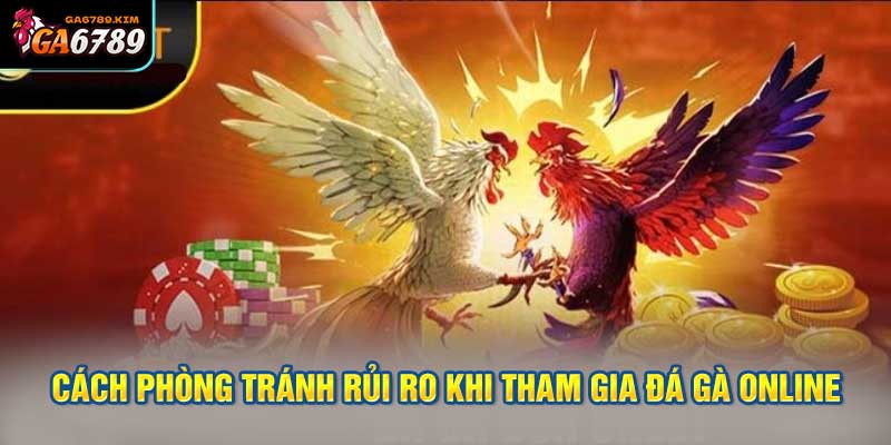 Cách phòng tránh rủi ro khi tham gia đá gà online