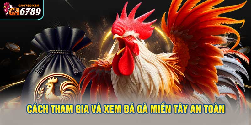 Cách Tham Gia và Xem Đá Gà Miền Tây An Toàn