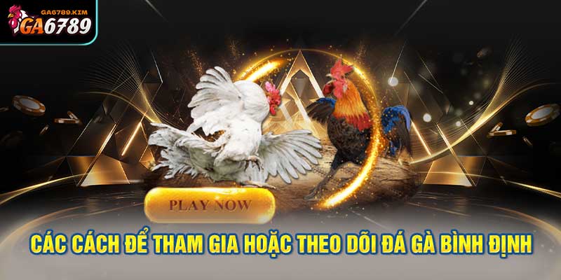 Các cách để tham gia hoặc theo dõi Đá Gà Bình Định