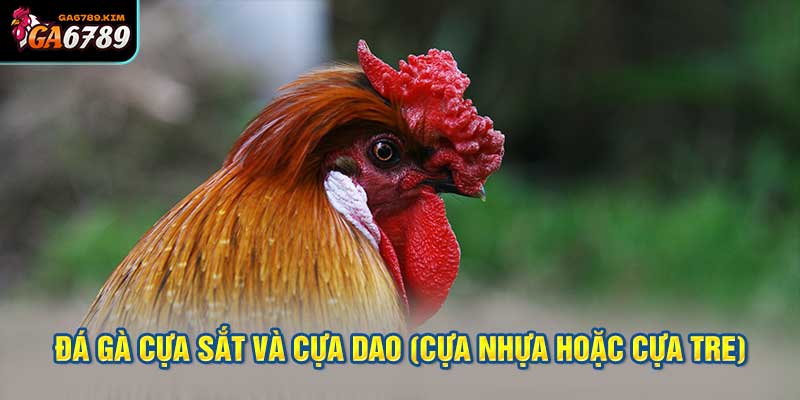 2. Đá gà cựa sắt và cựa dao (cựa nhựa hoặc cựa tre)