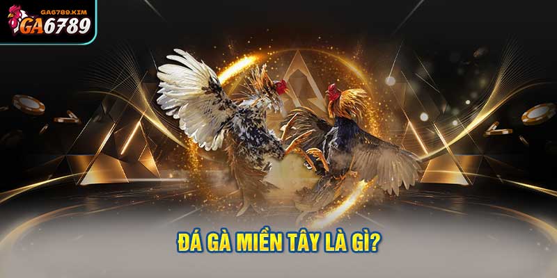 Đá Gà Miền Tây Là Gì?