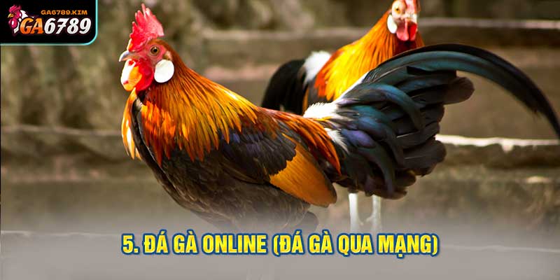 5. Đá gà online (đá gà qua mạng)