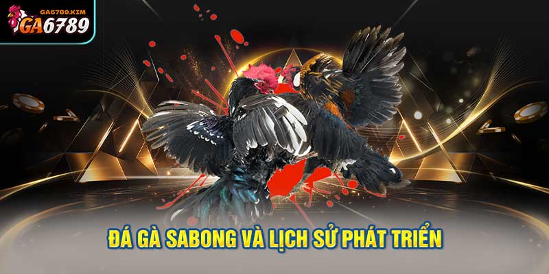 Giới thiệu về đá gà sabong