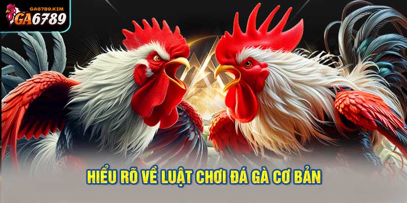 Hiểu Rõ Về Luật Chơi Đá Gà Cơ Bản