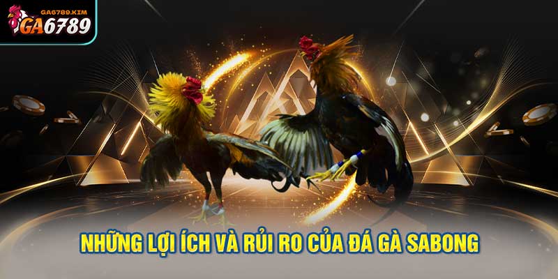 Những lợi ích và rủi ro của đá gà sabong