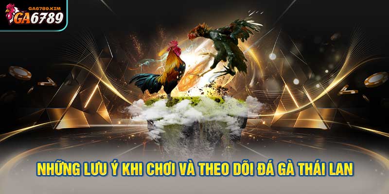 Những lưu ý khi chơi và theo dõi đá gà Thái Lan