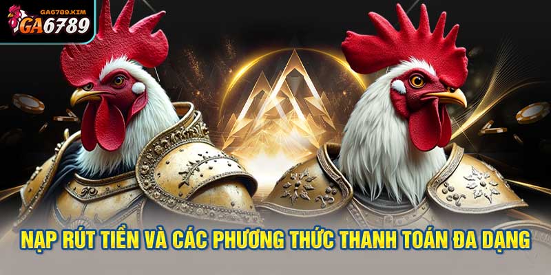 Hệ thống nạp rút và thanh toán đa dạng