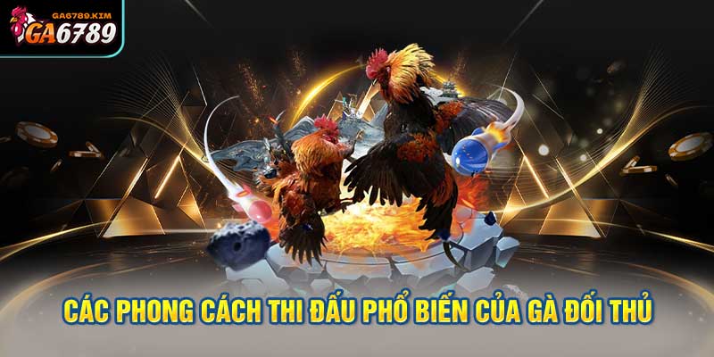 Các phong cách thi đấu phổ biến của gà đối thủ