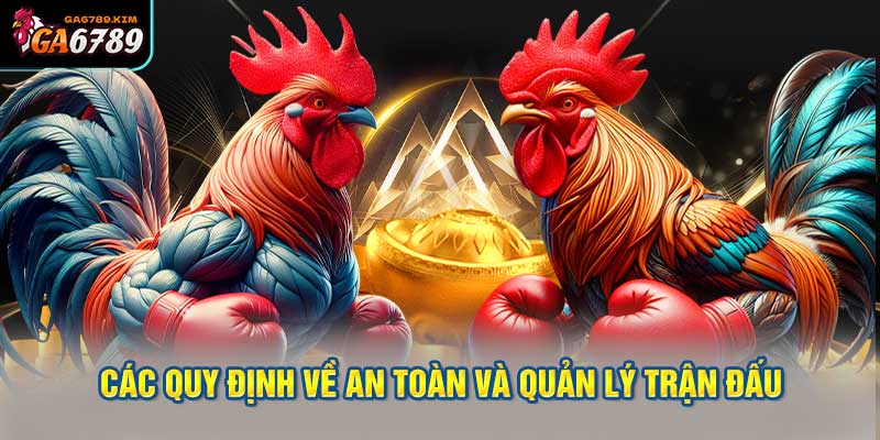 Các Quy Định Về An Toàn Và Quản Lý Trận Đấu
