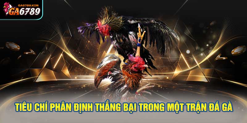 Tiêu chí xác định thắng thua 1 trận đá gà thomo