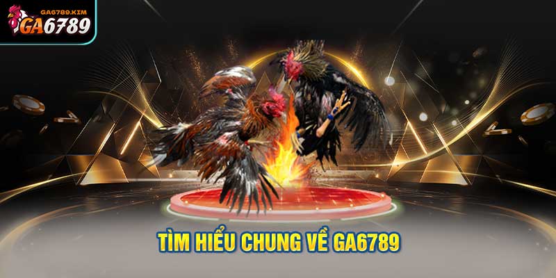 Tìm hiểu chung về Ga6789