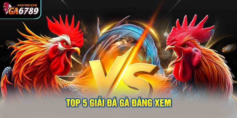 Top 5 giải đá gà đáng xem