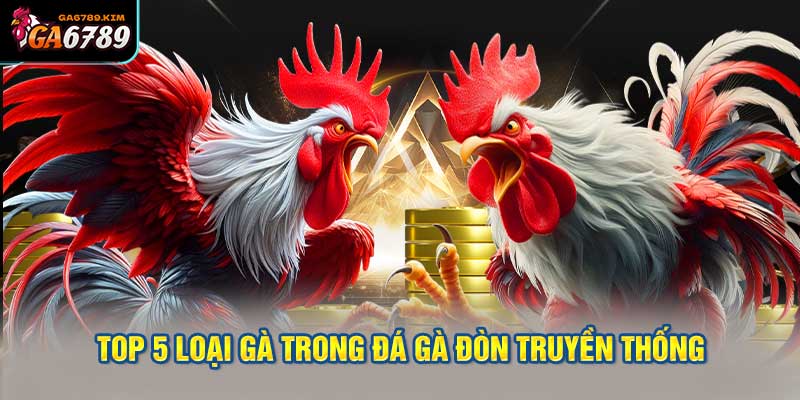 Top 5 Loại Gà Thường Được Sử Dụng Trong Đá Gà Đòn Truyền Thống