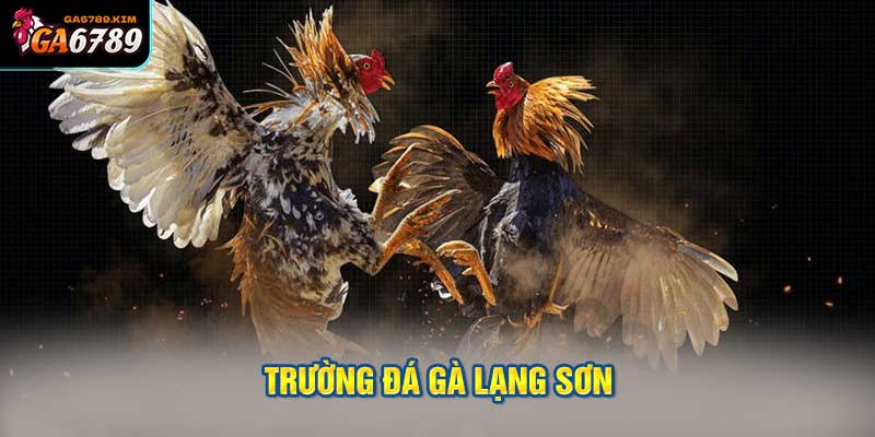 Trường đá gà Lạng Sơn