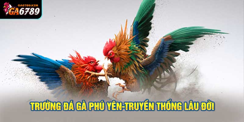 Trường đá gà Phú Yên