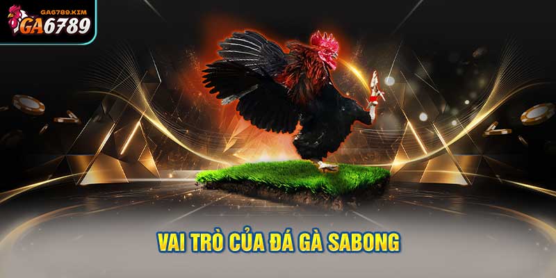 Vai trò của đá gà sabong