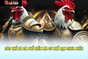 Các thế đá gà phổ biến mà có thể bạn chưa biết!