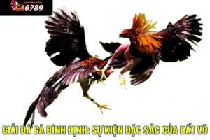 đá gà bình định