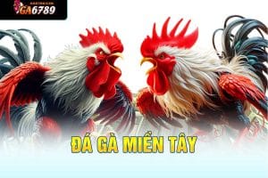 đá gà miền tây ga6789.kim