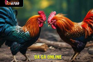 đá gà online