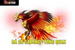 đá gà sabong