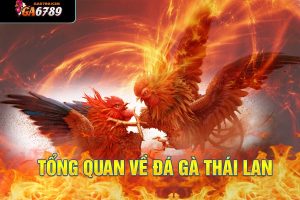 đá gà thái lan