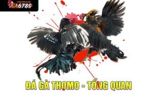 đá gà thomo