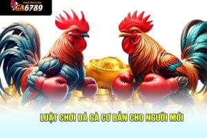 luật chơi đá gà cơ bản
