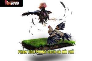 phân tích phong cách gà đối thủ