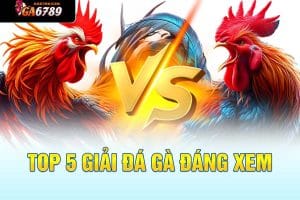 top5 giải đá gà online cùng ga6789.kim